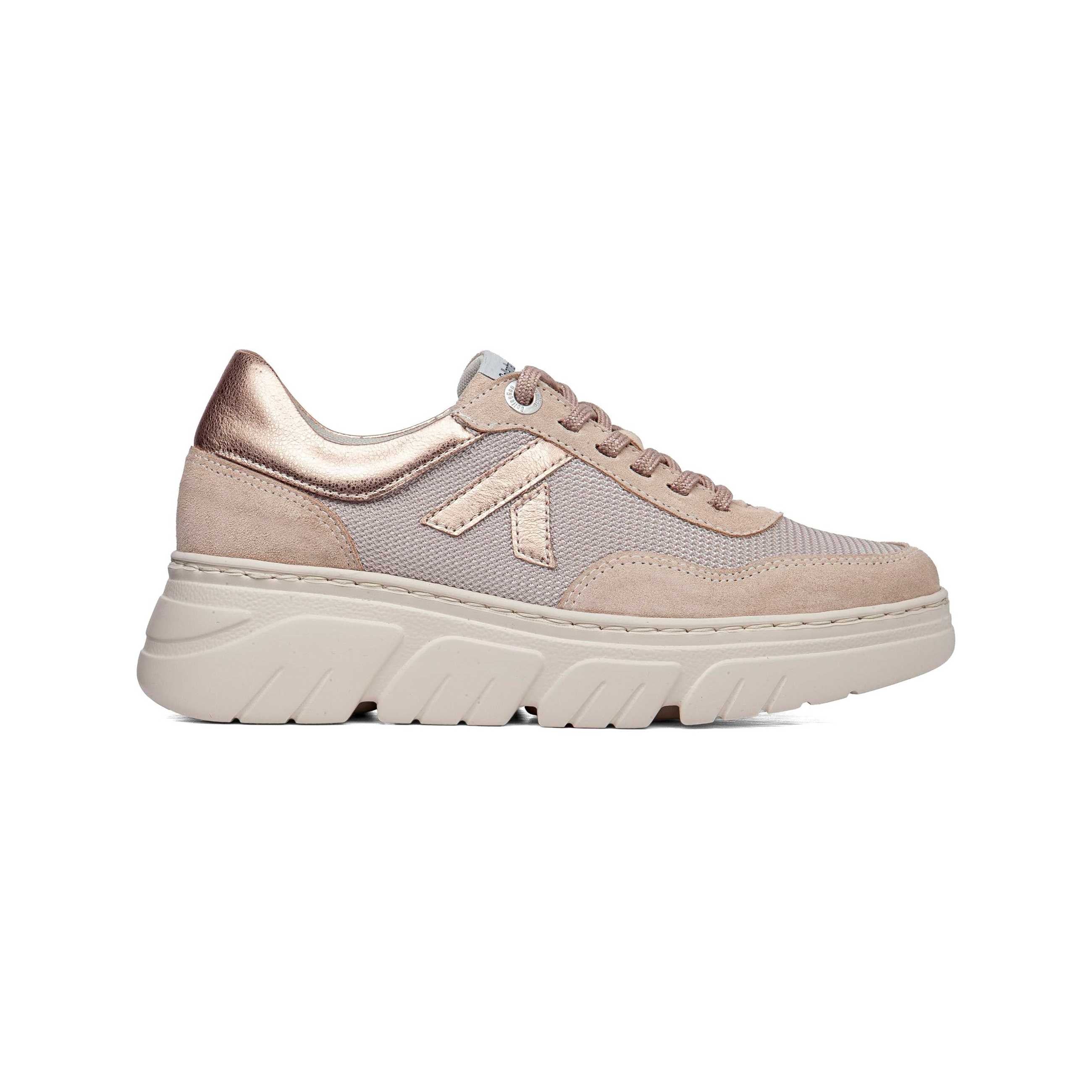 51816 | PESCA / PINK | BACCARA