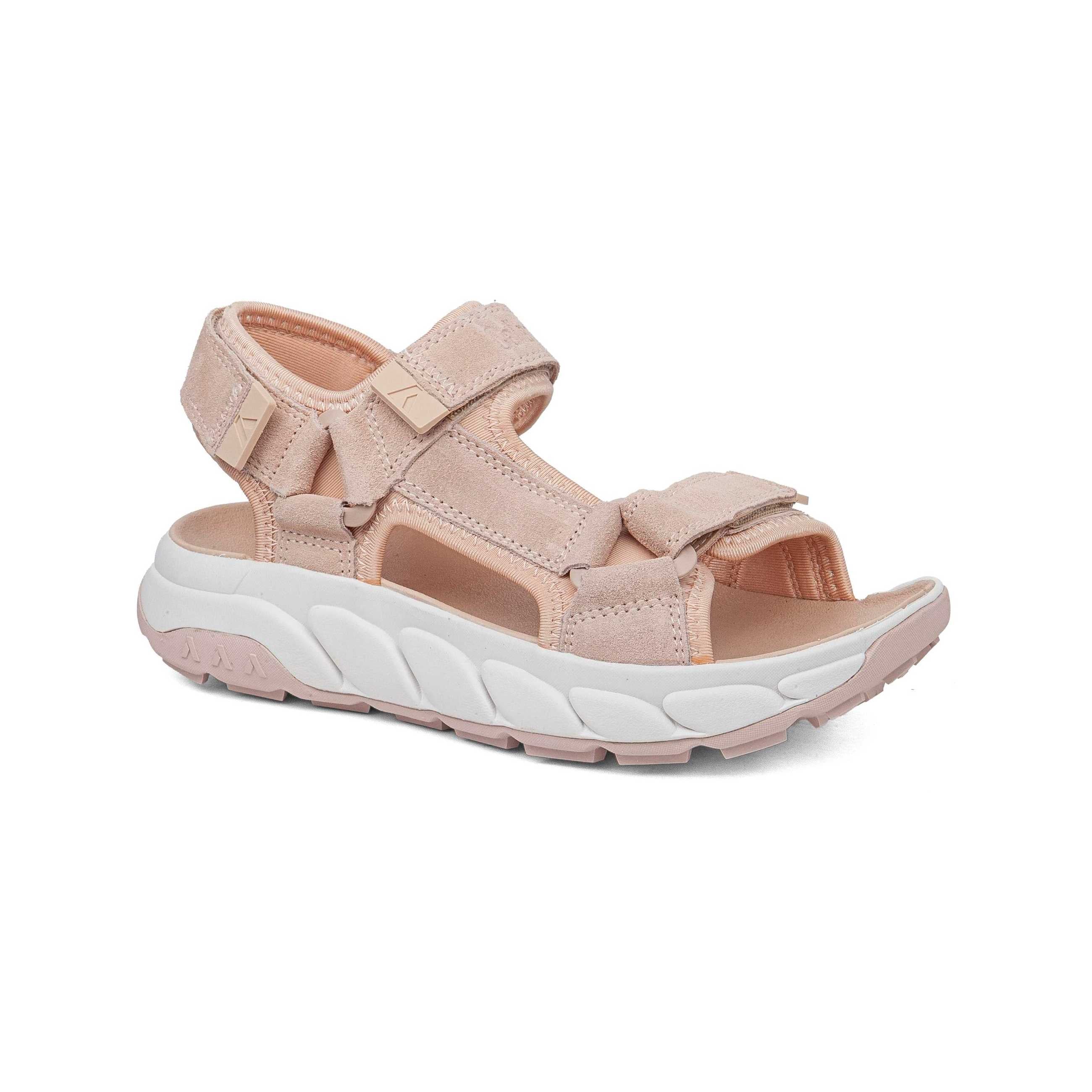 66000 | PESCA / PINK | WALLANDER SRA - Image 2